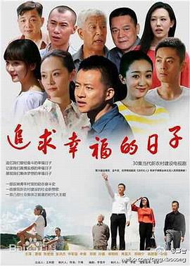 追求幸福的日子 2014 电视剧 海报