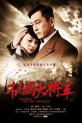 护国大将军 2011 电视剧 海报