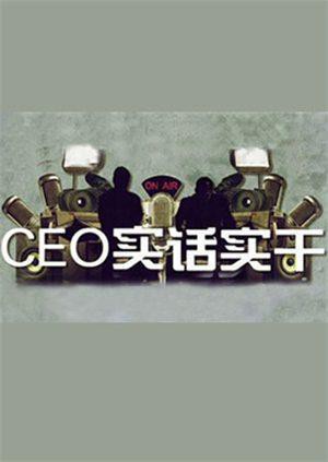CEO实话实干 2010 综艺 海报