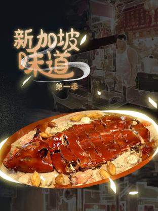 新加坡味道 2023 纪录片 海报