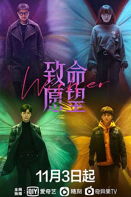 致命愿望 2021 电视剧 海报