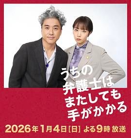 我家的律师又惹麻烦了特别篇 2026 电视剧 海报