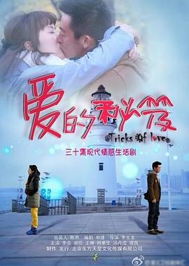 爱的秘笈 2014 电视剧 海报