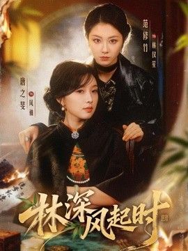 林深风起时 2026 短剧 海报