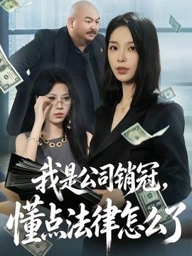 我是公司销冠，懂点法律怎么了 2026 短剧 海报