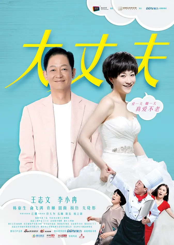 大丈夫 2014 电视剧 海报
