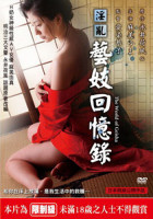 淫乱艺妓回忆录 2010 电影 海报