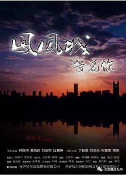 凤凰城等着你 2017 电影 海报