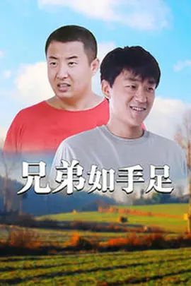 兄弟如手足 2008 电视剧 海报