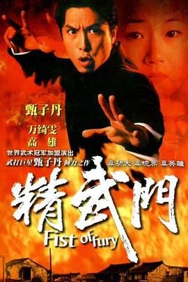 精武门1995 1995 电视剧 海报