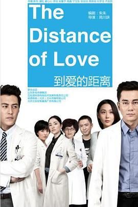 到爱的距离 2013 电视剧 海报