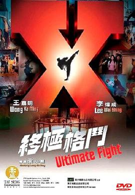 终极格斗（国语版） 2004 电影 海报