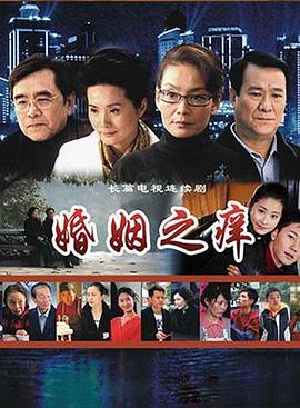 婚姻之痒 2008 电视剧 海报