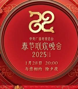 2025年中央广播电视总台春节联欢晚会 2025 综艺 海报