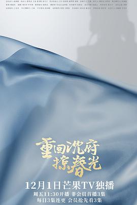 重回沈府掠春光 2023 电视剧 海报