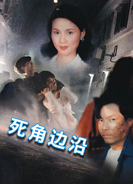 死角边沿 1995 电影 海报