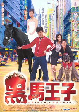 黑马王子 1999 电影 海报
